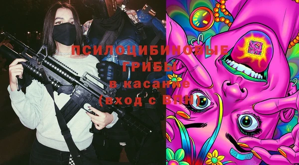 герыч Мегион