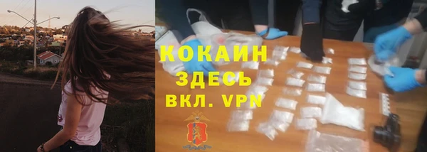 бошки Абинск