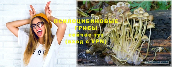 не бодяженный Абаза