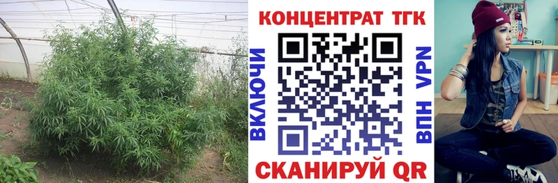 Дистиллят ТГК концентрат  где можно купить   мега ссылка  Казань 